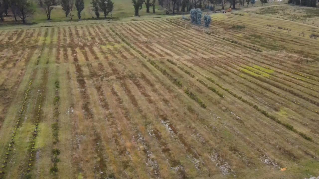 At the Wildflower Bunch Flower Farm, 15 years of work was razed in just 10 minutes. Picture: Supplied