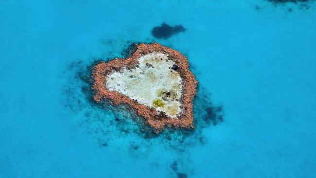 An aerial view of Heart Reef on the Great Barrier Reef.