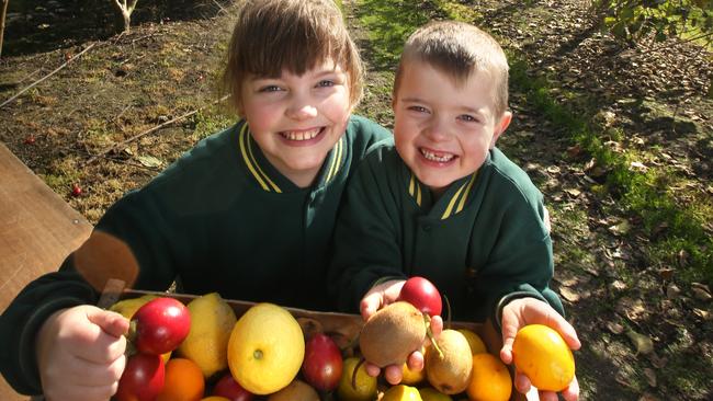 Rayners Orchard will be holding school holiday activities including fruit picking and sampling tours.