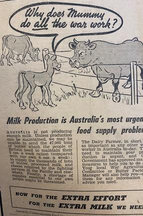 Milk was in short supply becuase of World War II. Gold Coast Bulletin advertising, 1945/1940s