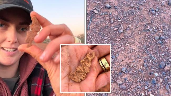 $2500 gold nugget hidden in plain sight