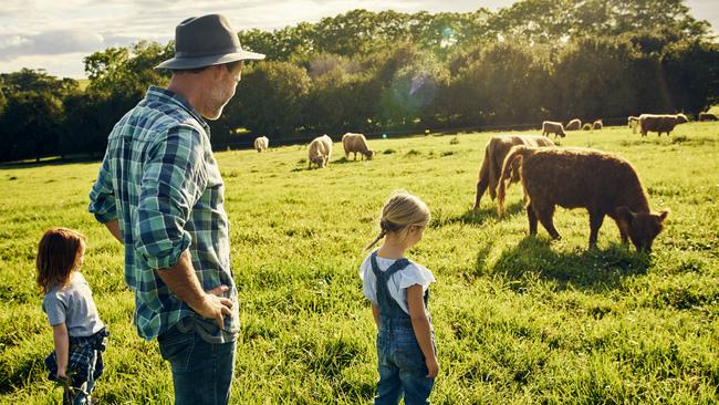 ‘Well-managed pastoral farming is one of the most efficient ways to absorb excess carbon dioxide from the atmosphere and bury it in the ground.’ Picture: iStock