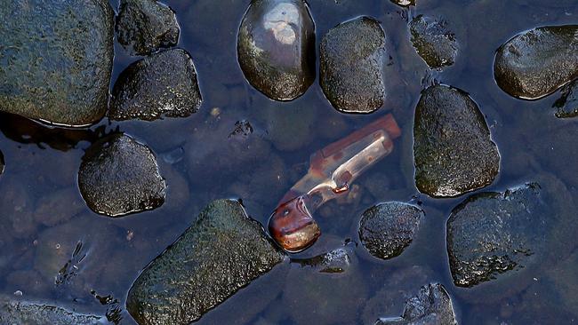 Police recover a hand gun from the Nerang River under the Weedons Crossing in Nerang. Pics Adam Head