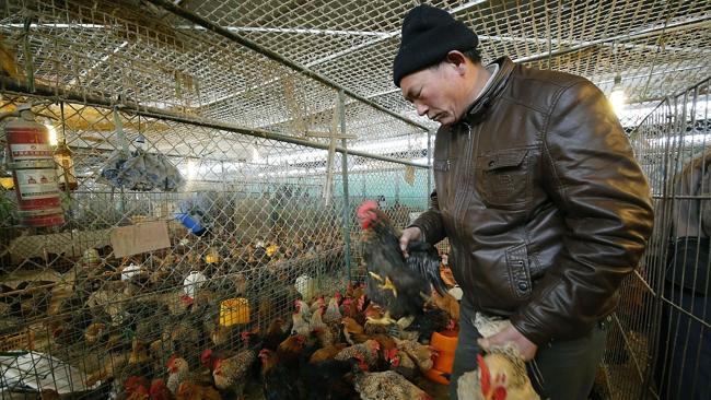 Nervous wait for authorities ... A vendor picks chickens at a wholesale poultry market in Shanghai. Picture: AP Photo