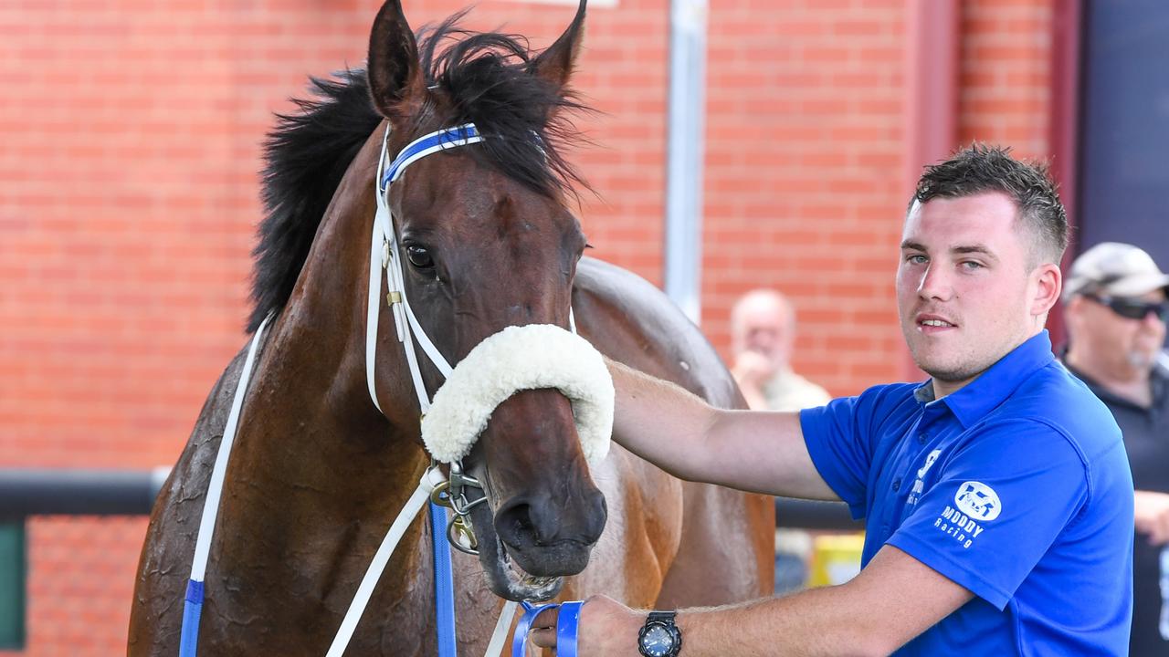 Persian Caviar after winning her debut at Wangaratta on Monday. Picture: Brett Holburt / Racing Photos