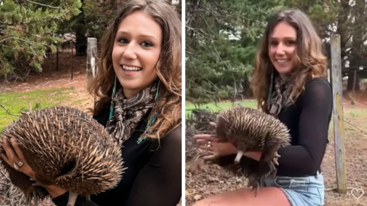 Shock second video of wombat woman