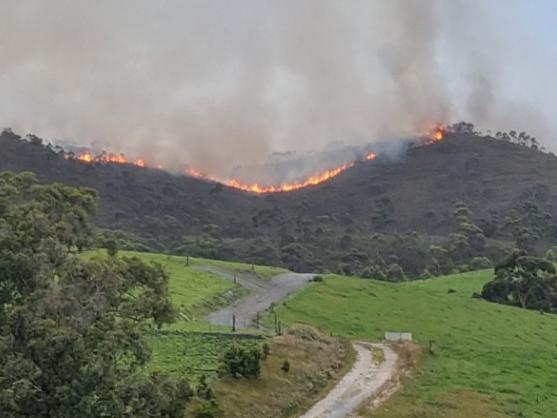 Bushfire burns at Sisters Beach. Picture: Jaylen Duniam.