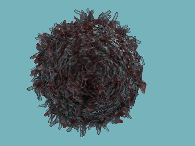 Melbourne scientist are focusing on using the immune system to fight cancer, such as with this lymphoma cell. Picture: istock