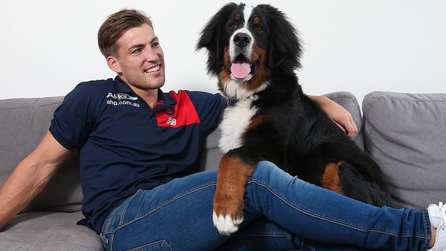 A relaxed Jack Viney with his dog, Sebastian. Picture: Ian Currie