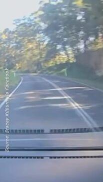 WATCH Learner drivers close encounter on windy hinterland road