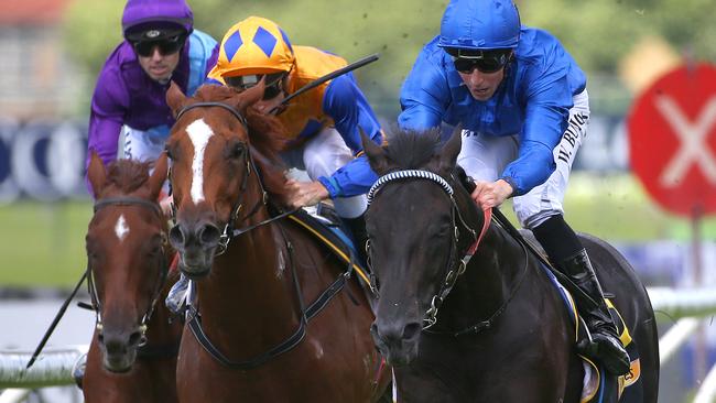 French import Spectroscope has scored two impressive wins since arriving in Australia and shapes as a genuine lightweight chance in the Doncaster Mile.