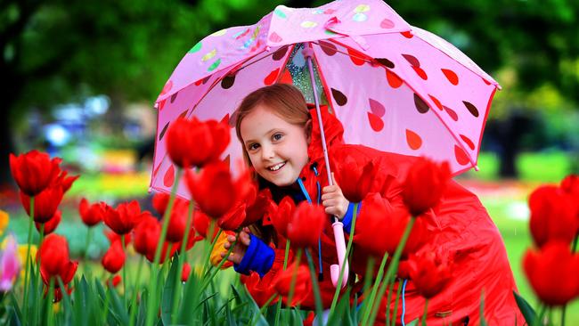 Toowoomba Carnival of Flowers won a Gold Award at the 2016 Qantas Australian Tourism Awards. PICTURE: Tim Marsden