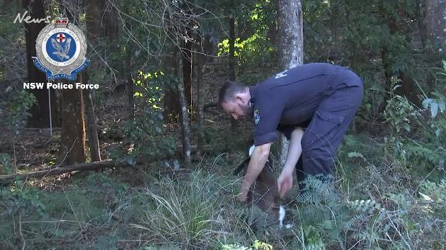 Skeletal remains found in NSW