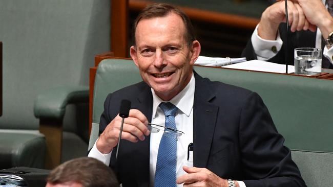 Former prime minister Tony Abbott in the House of Representatives. Picture: AAP