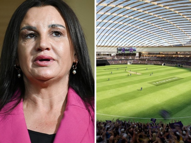 Jacqui Lambie has hit back at the AFL over a proposed Tasmanian stadium, telling them to “stick it”.