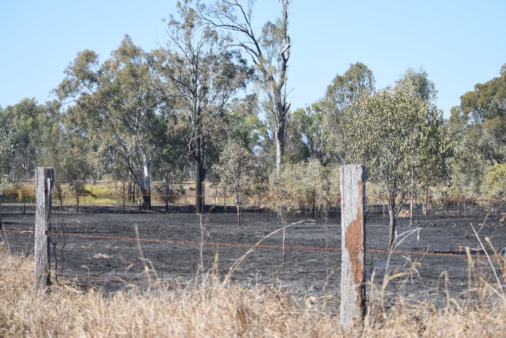 The aftermath of where the Grantham fire burned through 123 hectares along Philps Rd,. Picture: Ali Kuchel