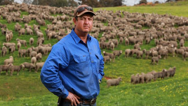 ‘I’m going to take the punt and keep going with the sheep,’ says Simon Kelsall from his property just outside Boddington, in Western Australia. Picture: Philip Gostelow