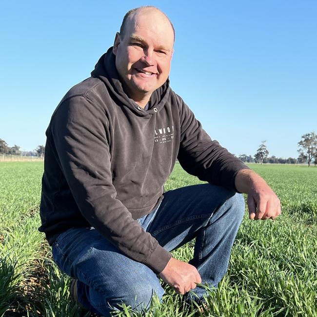 Justin Everitt of Aintree Park at Brocklesby in southern NSW inspects his crop of Boree wheat. Justin is also the NSW Farmers grains committee chairman. Picture: Nikki Reynolds