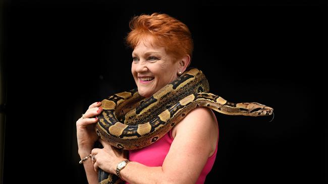 One Nation leader Pauline Hanson holds a boa constrictor snake during a stop on the One Nation 'Battler Bus' to the Cooberrie Park Wildlife Sanctuary in Cooberrie, north of Yeppoon, during the 2017 Queensland election campaign. Picture: Dave Hunt