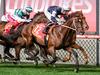Lloyd Williams locks in Melbourne Cup jockeys