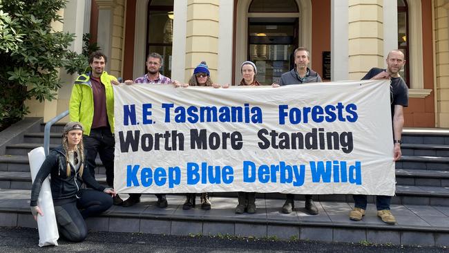 Blue Derby Wild is calling for an end to logging of native forest in the North-East. Picture: Rosemary Murphy