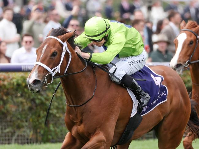 Stretan Angel ridden by Damian Lane wins the World Pool Danehill Stakes at Flemington Racecourse on October 07, 2023 in Flemington, Australia. (Photo by George Sal/Racing Photos via Getty Images)