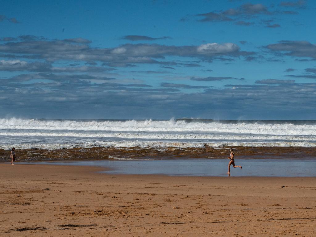 A similar attack occurred at Avoca Beach in 2017 in which a surfer was bitten on the arm and escaped by punching the shark. Picture: NCA NewsWire / Flavio Brancaleone