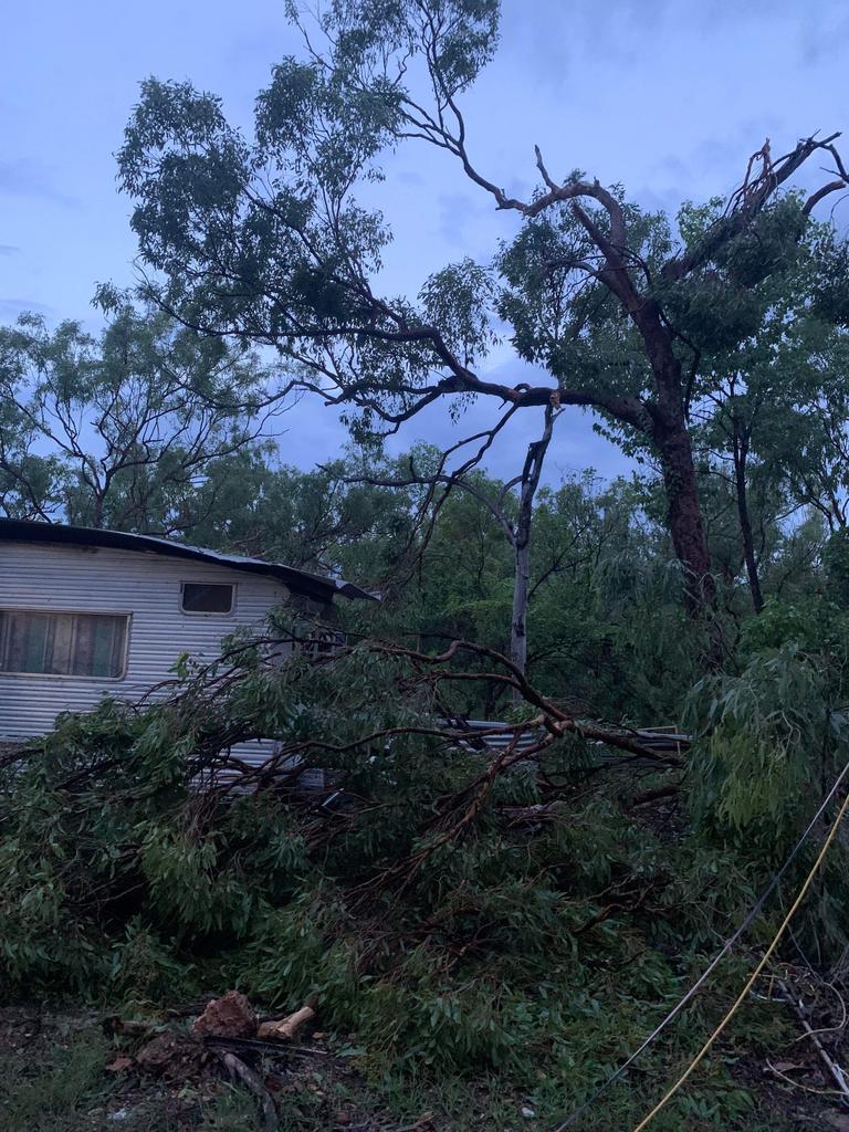 Winds and a huge deluge of rain knocked down large trees on this property near Mataranka. Picture: Rachael Walters