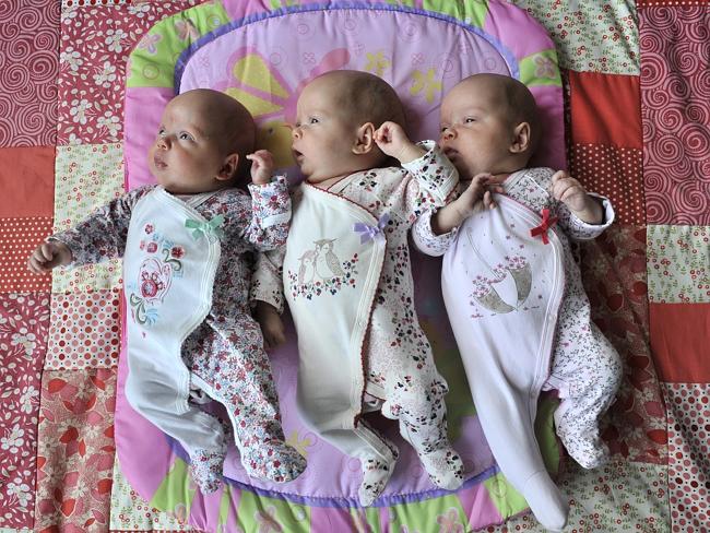 Macarthur Proves A Land Of Plenty After Third Set Of Triplets Arrives ...