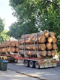 Trucks on the Hahndorf main street. Picture: Facebook