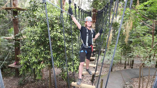 First look at the new TreeTop Challenge at Currumbin Wildlife Sanctuary. Picture: Glenn Hampson.