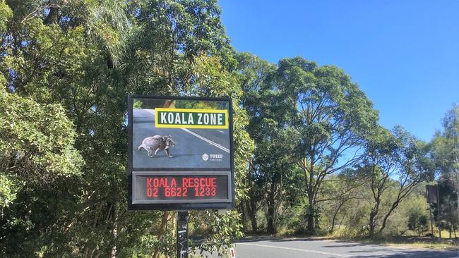 The fixed koala zone sign on Clothiers Creek Road features the emergency contact number for Friends of the Koala should anyone come across an injured koala.