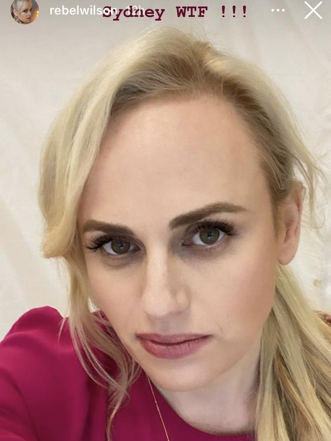 Rebel Wilson took to social media to slam the new restrictions.