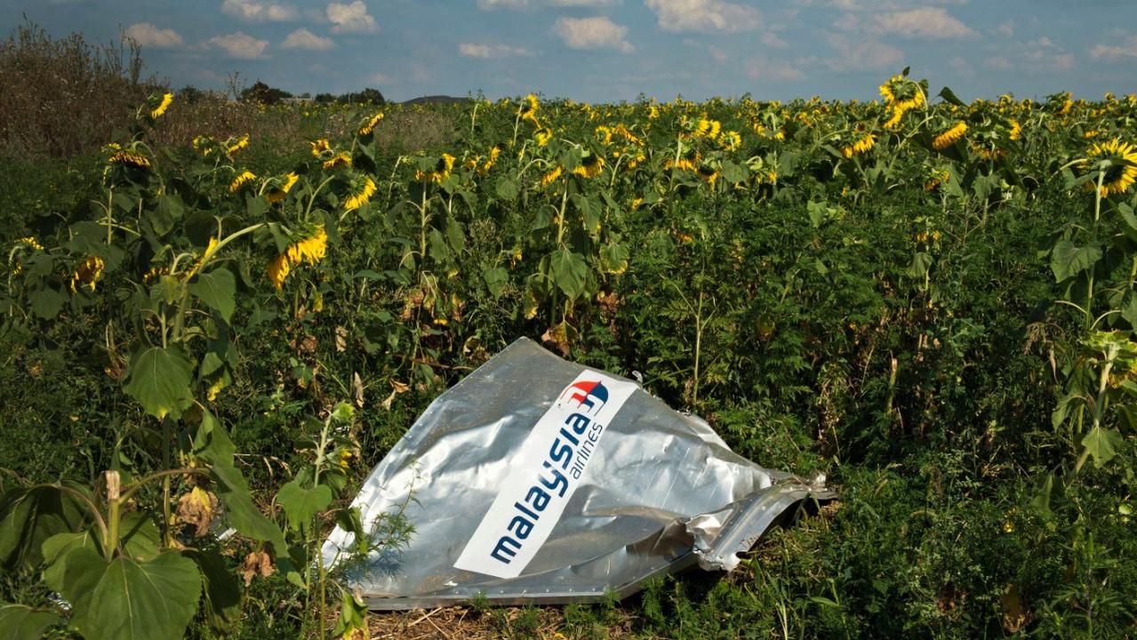 The AFP’s new podcast is named after the golden sunflowers that grew in the field where the plane was brought down. Picture: Australian Federal Police