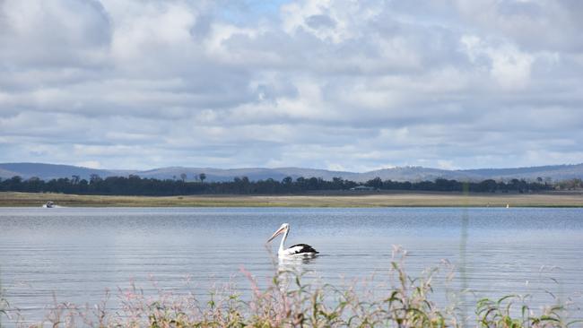 Wildlife enjoying the fresh water at Leslie Dam on the Southern Downs, 11km from Warwick. Picture: Emily Clooney