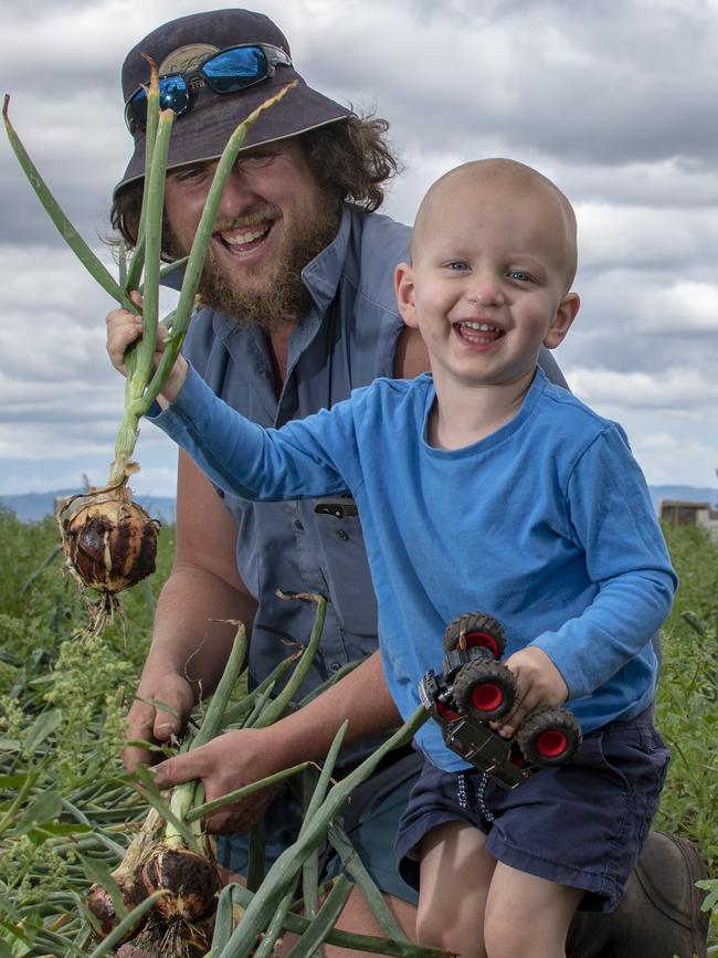 Andrew Mildren, Reck Farms, Lower Tent Hill, with his son Cooper, 2, inspecting some onions.