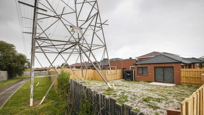 The backyard was built around the base of the electrical tower. Picture: Valeriu Campan