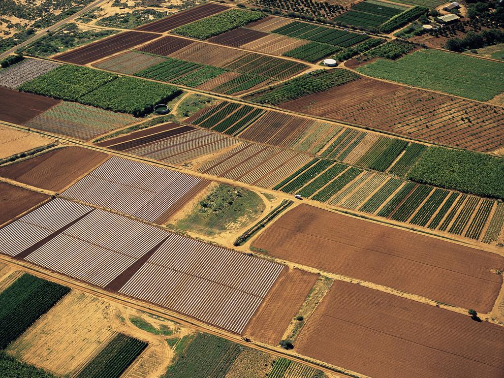 Agronomists are plant and soil scientists. Picture: John Carnemolla/Australian Picture Library