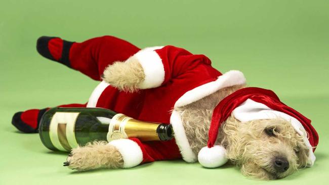 Don&#39;t get drunk. Picture: Monkey Business Images Ltd