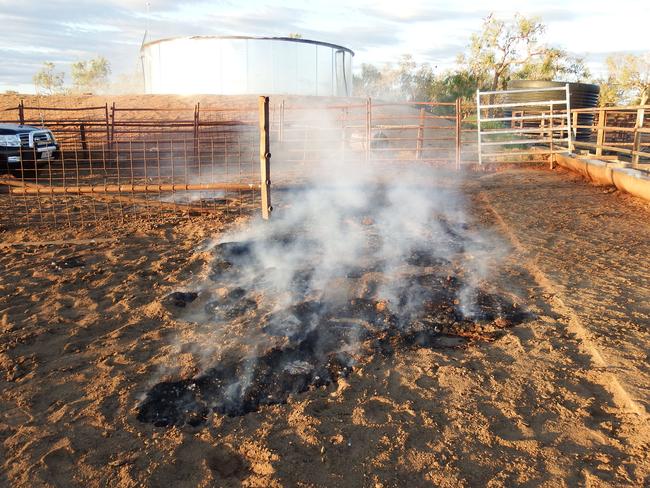 It is hot in Central Australia but the ground is not normally burning like this. Picture: Supplied