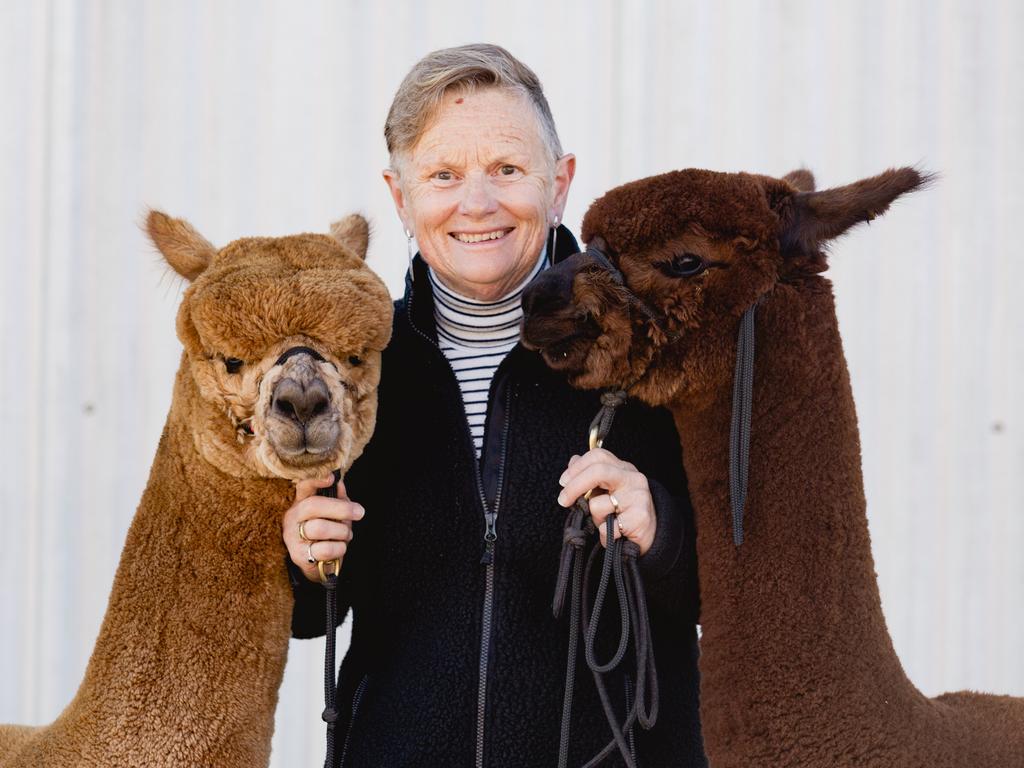 Victorian Alpaca Show photos 2019 | The Weekly Times