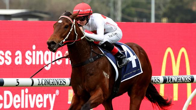 Hard To Say aims to go one better in the Southern Cross Stakes. Picture: Jeremy Ng/Getty Images