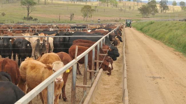 The Western Downs was founded on agriculture and the regions strong and diverse economy continues to rely on the industry. Picture: James Wagstaff