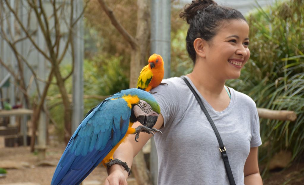 Getting up close with the birds at Maleny Botanic Gardens and Bird World. Picture: Mark Furler
