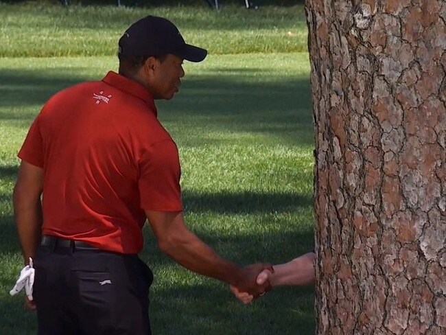 Tiger Woods moment becomes viral meme