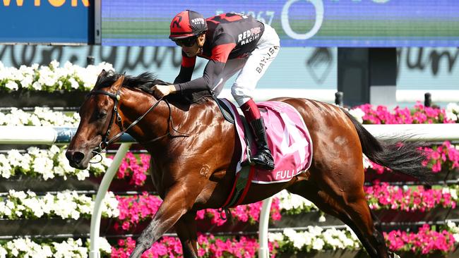 History is on the side of Fully Lit in the Golden Slipper. Photo: Jeremy Ng/Getty Images.