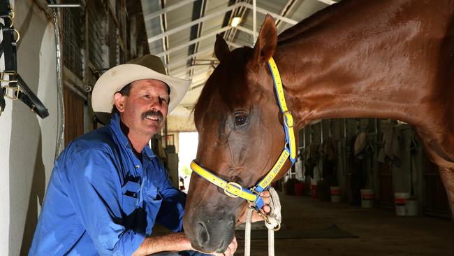 Scone trainer Greg Bennett in his country stable complex with one his top chances in the Country Championships All Summer Long. Picture by Peter Lorimer.