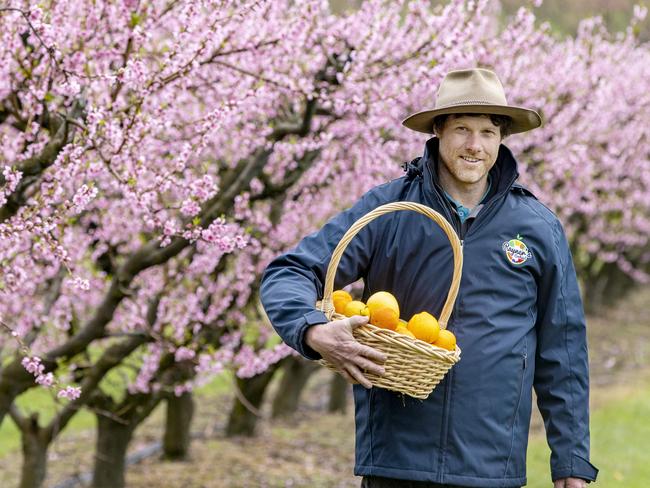 HORTICULTURE: Rayner's Orchards at Woori YallockRayner's Orchards at Woori YallockPICTURED: Brendan Graham Nursery hand. Picture: Zoe Phillips