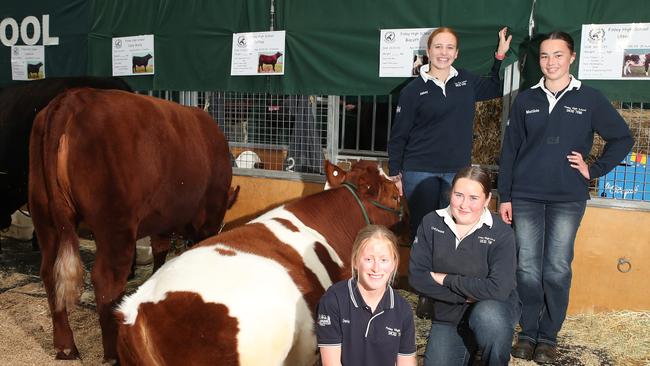 Finley High School: Chelsea Singleton, year 11, Abbey Tanner, year 8, Cheyenne Tucker, year 11, Matilda Burton, year 8.