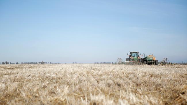 High confidence: This week’s prices are the highest lentils have achieved since May 2016.